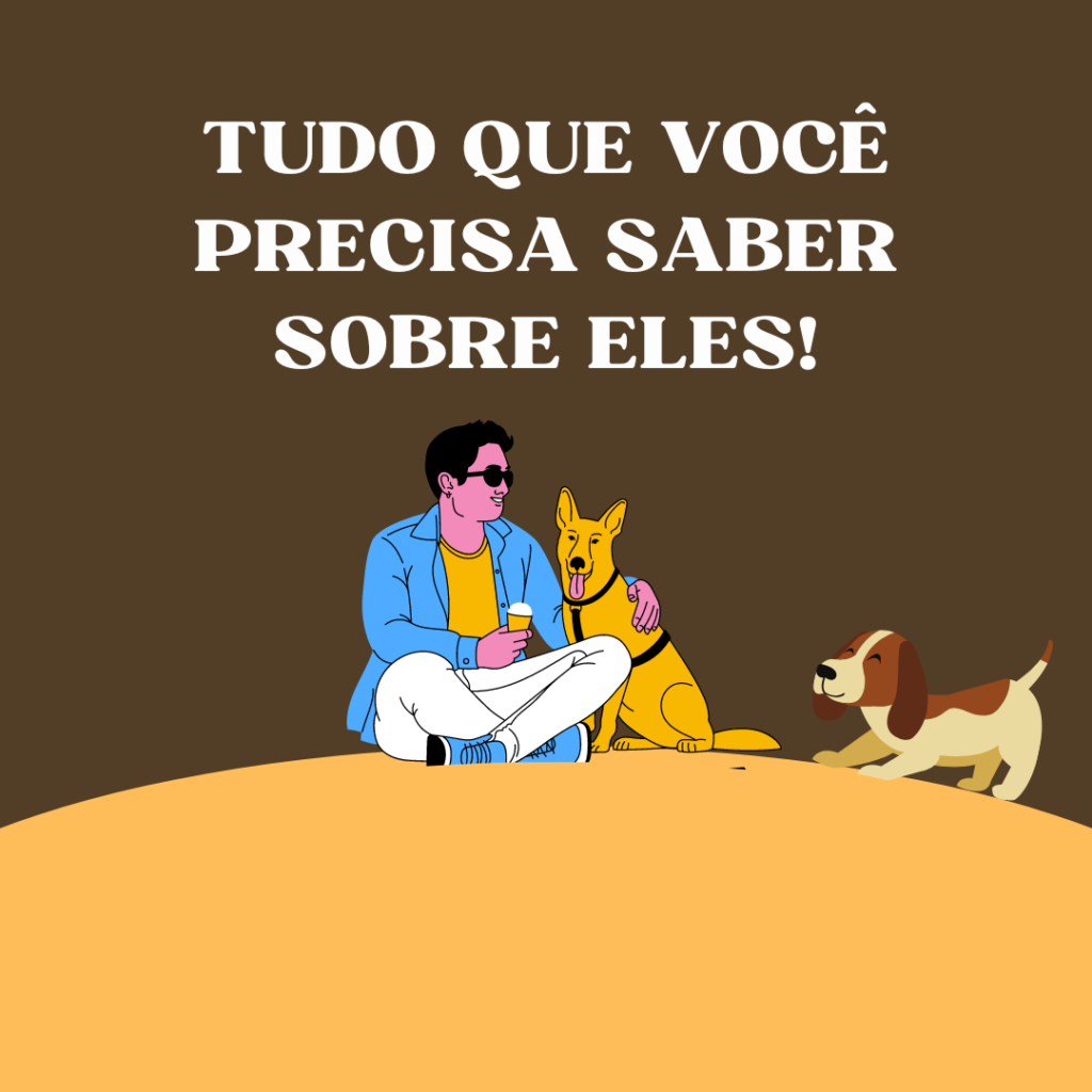 Tudo que você precisa saber sobre eles!