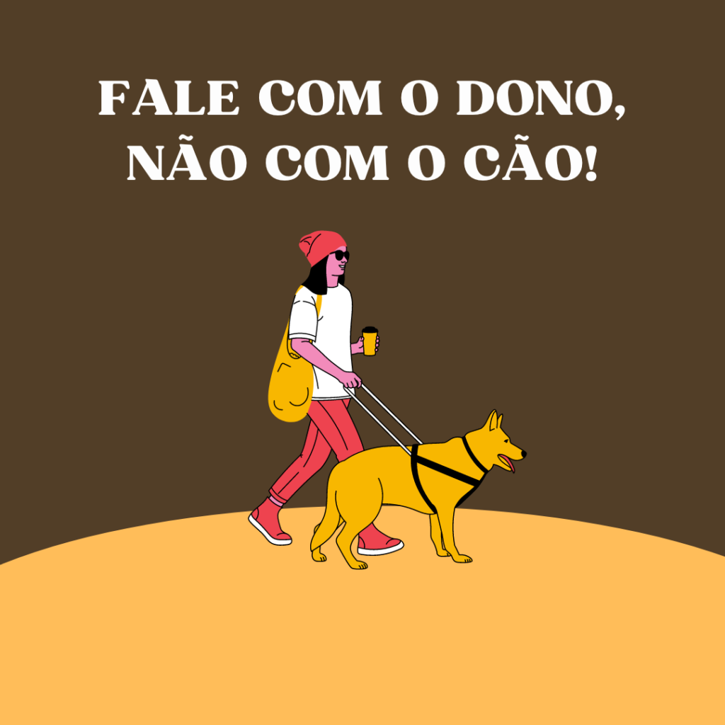 fale com o dono, não com o cão